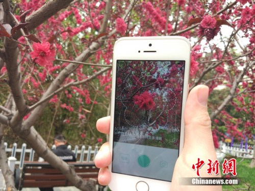 人工智能還能這么玩！識(shí)花神器讓你三秒告別“花癡”