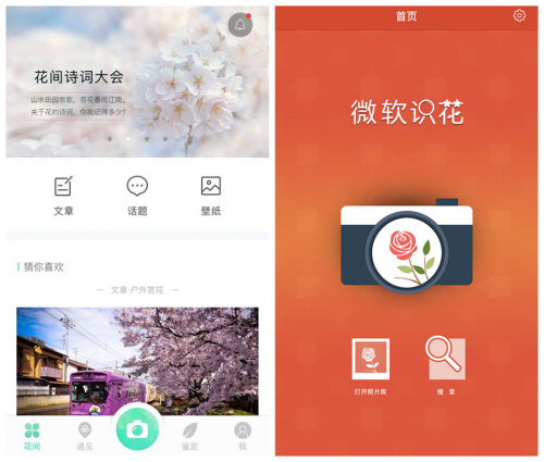 人工智能還能這么玩！識(shí)花神器讓你三秒告別“花癡”