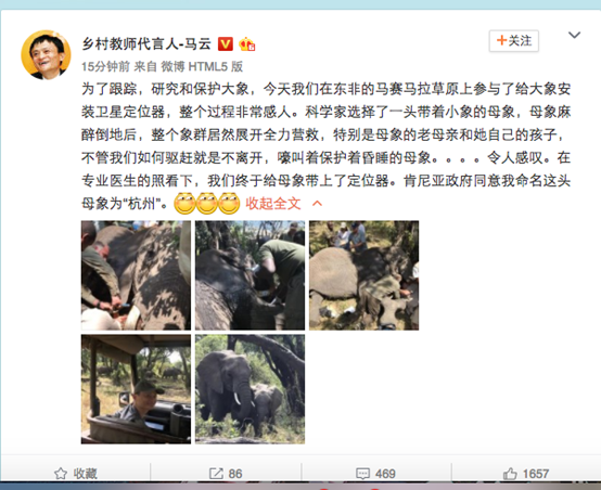 有只遠在非洲的大象，馬云將它命名為“杭州”