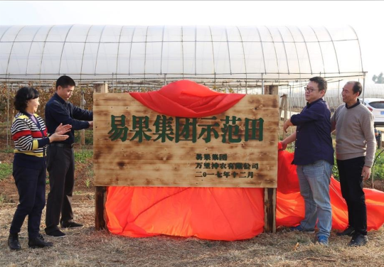 易果集團(tuán)在云南紅河啟動首個示范田項目